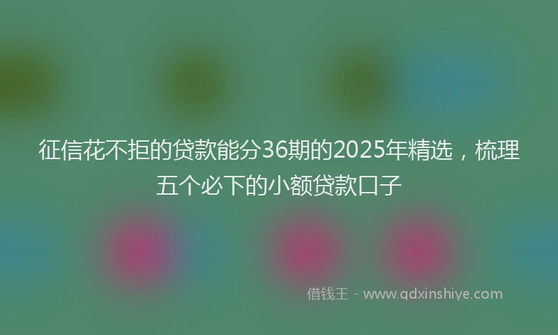 征信花不拒的贷款能分36期的2025年精选，梳理五个必下的小额贷款口子