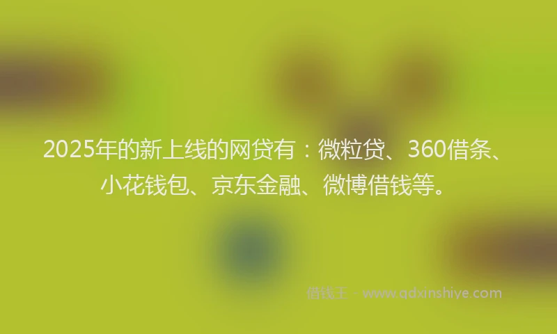 2025年的新上线的网贷有：微粒贷、360借条、小花钱包、京东金融、微博借钱等。