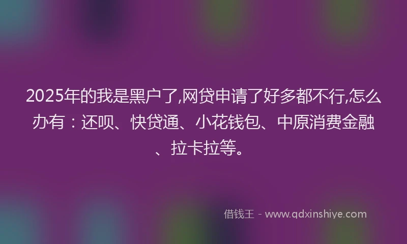 2025年的我是黑户了,网贷申请了好多都不行,怎么办有：还呗、快贷通、小花钱包、中原消费金融、拉卡拉等。