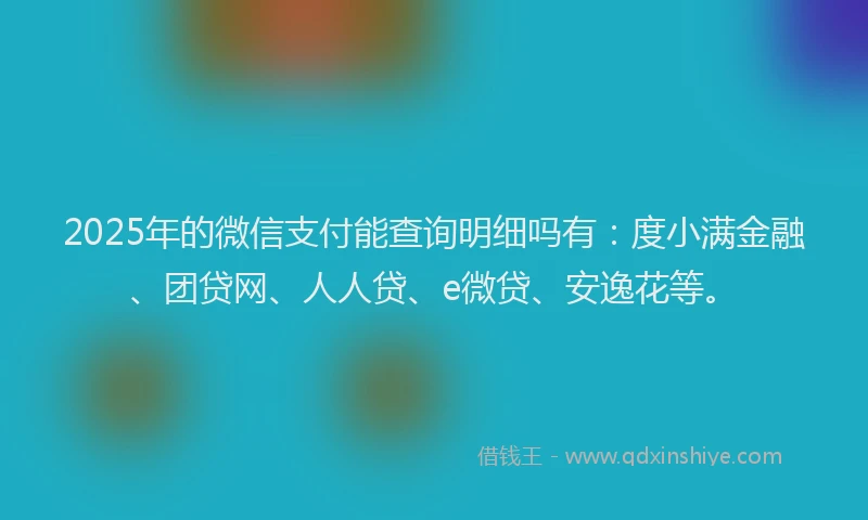 2025年的微信支付能查询明细吗有：度小满金融、团贷网、人人贷、e微贷、安逸花等。
