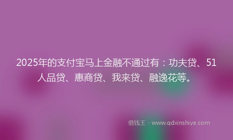 2025年的支付宝马上金融不通过有：功夫贷、51人品贷、惠商贷、我来贷、融逸花等。