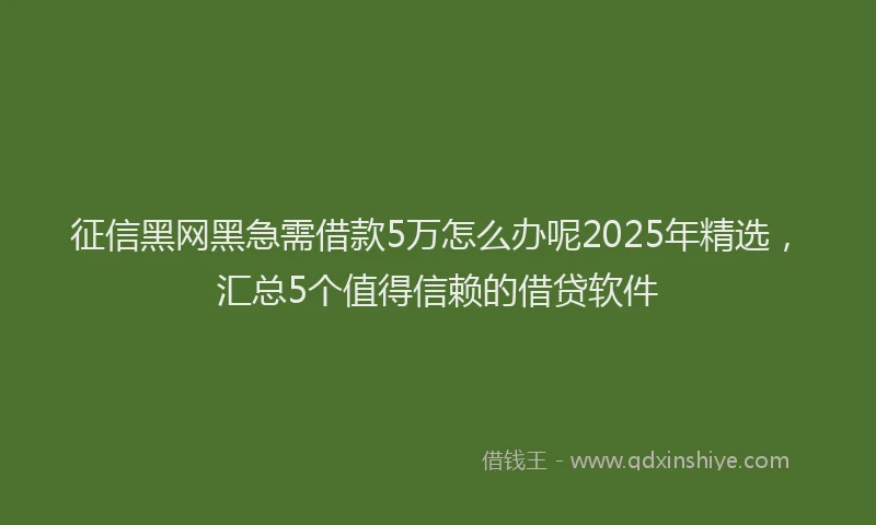 征信黑网黑急需借款5万怎么办呢2025年精选，汇总5个值得信赖的借贷软件