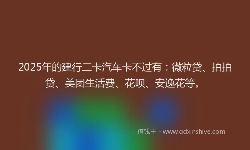 2025年的建行二卡汽车卡不过有：微粒贷、拍拍贷、美团生活费、花呗、安逸花等。