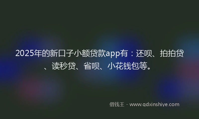 2025年的新口子小额贷款app有：还呗、拍拍贷、读秒贷、省呗、小花钱包等。