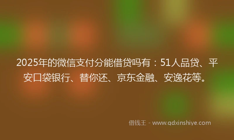 2025年的微信支付分能借贷吗有：51人品贷、平安口袋银行、替你还、京东金融、安逸花等。