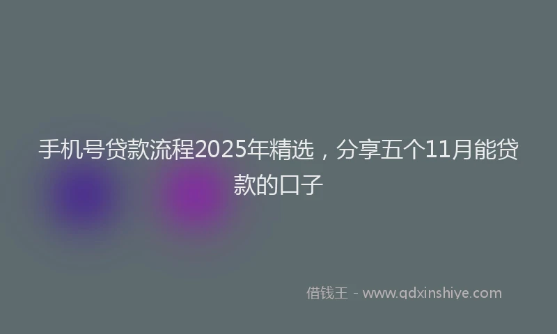 手机号贷款流程2025年精选，分享五个11月能贷款的口子