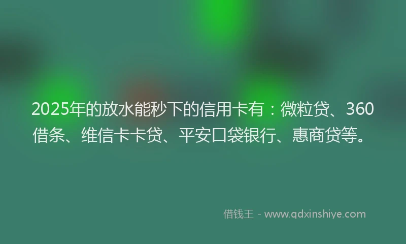 2025年的放水能秒下的信用卡有：微粒贷、360借条、维信卡卡贷、平安口袋银行、惠商贷等。