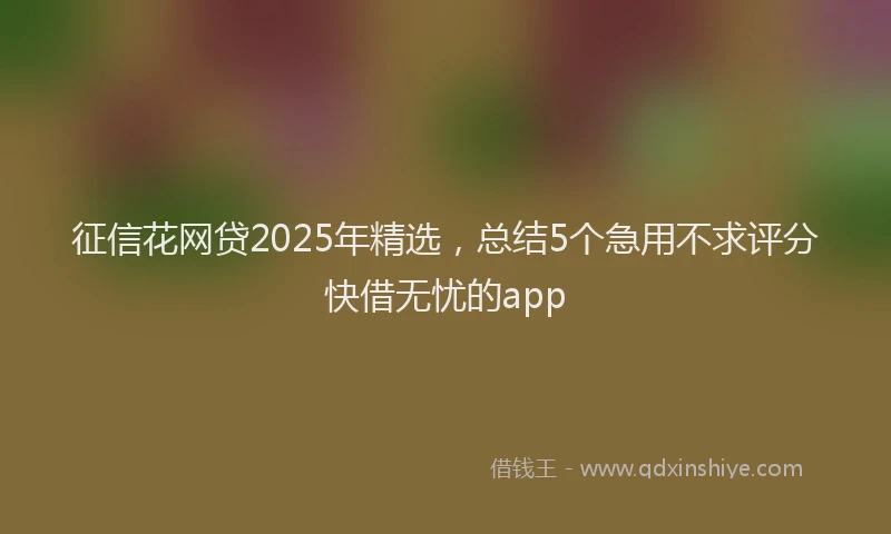 征信花网贷2025年精选，总结5个急用不求评分快借无忧的app