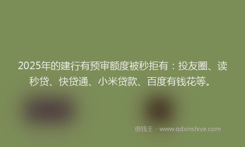 2025年的建行有预审额度被秒拒有：投友圈、读秒贷、快贷通、小米贷款、百度有钱花等。