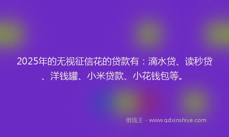 2025年的无视征信花的贷款有：滴水贷、读秒贷、洋钱罐、小米贷款、小花钱包等。
