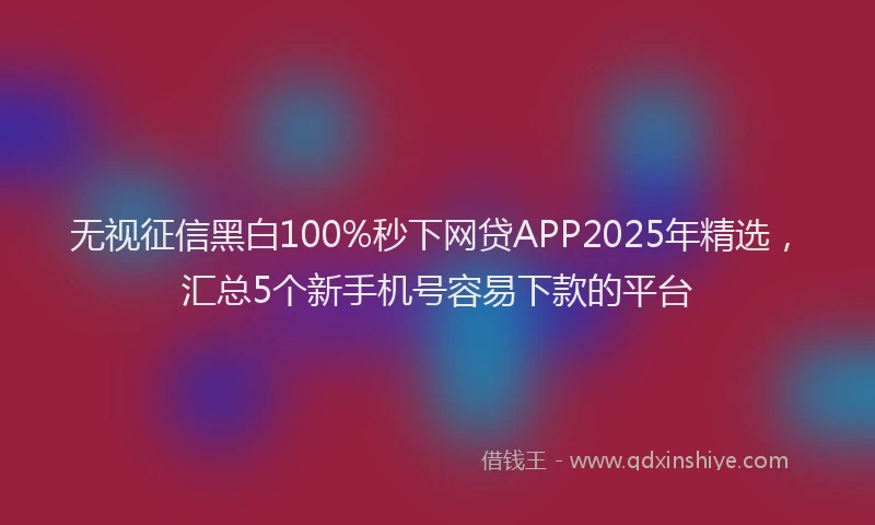 无视征信黑白100%秒下网贷APP2025年精选，汇总5个新手机号容易下款的平台