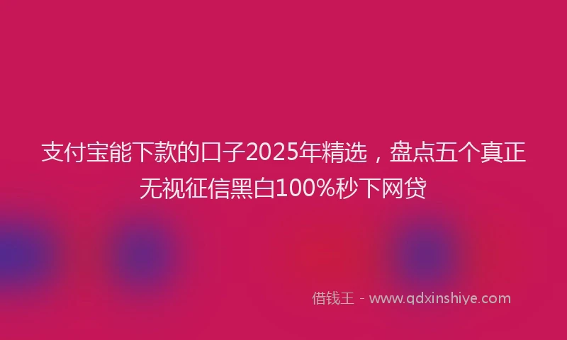 支付宝能下款的口子2025年精选，盘点五个真正无视征信黑白100%秒下网贷