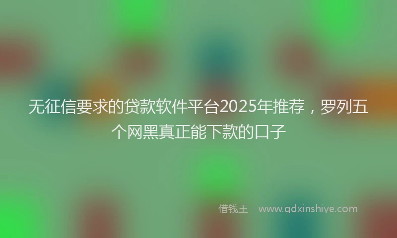 无征信要求的贷款软件平台2025年推荐，罗列五个网黑真正能下款的口子