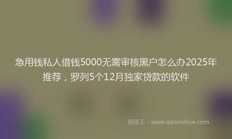 急用钱私人借钱5000无需审核黑户怎么办2025年推荐，罗列5个12月独家贷款的软件