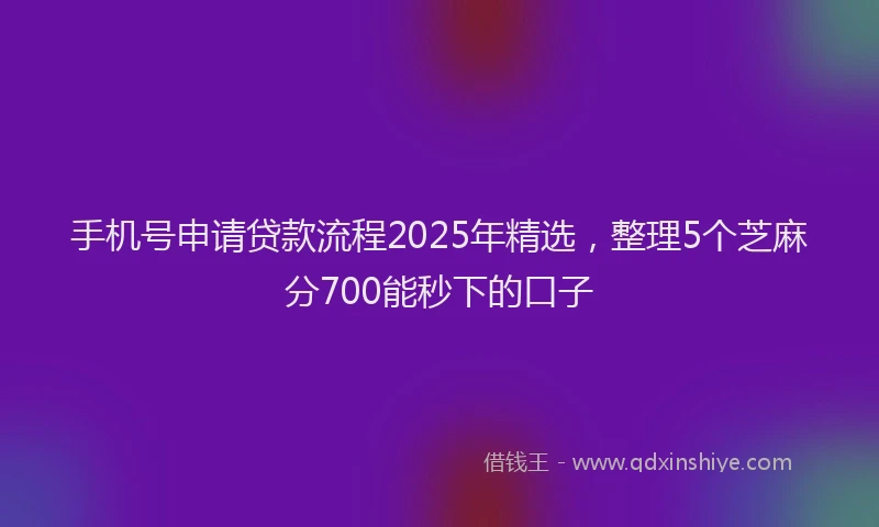 手机号申请贷款流程2025年精选，整理5个芝麻分700能秒下的口子