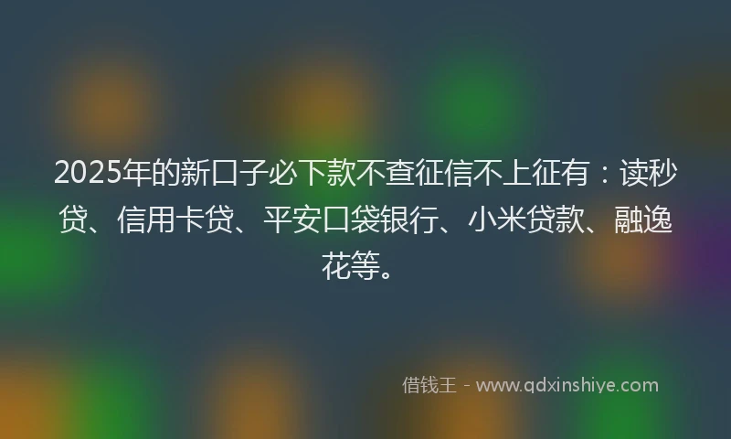 2025年的新口子必下款不查征信不上征有：读秒贷、信用卡贷、平安口袋银行、小米贷款、融逸花等。