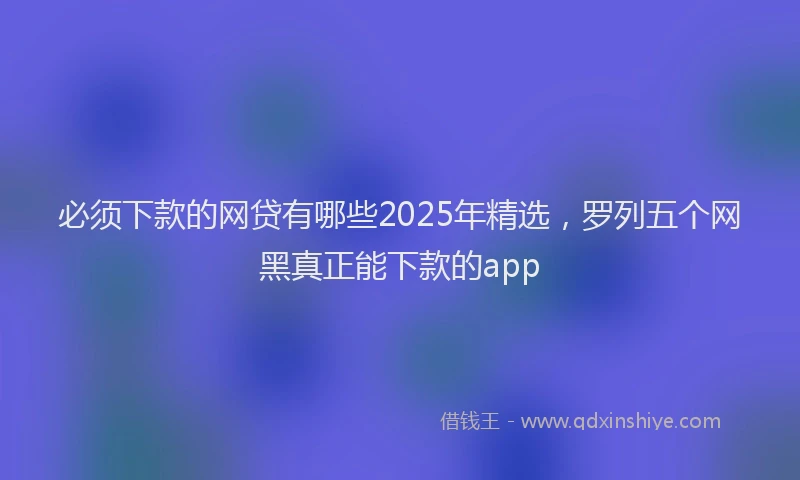 必须下款的网贷有哪些2025年精选，罗列五个网黑真正能下款的app