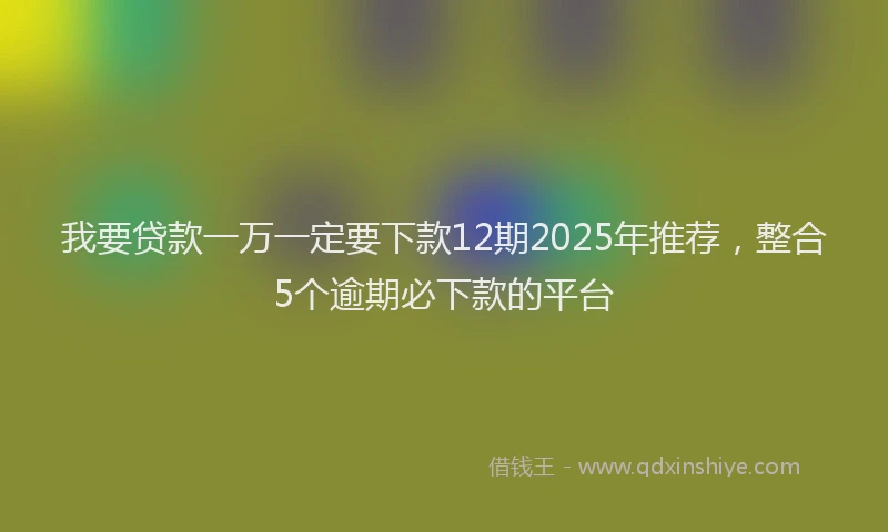 我要贷款一万一定要下款12期2025年推荐，整合5个逾期必下款的平台