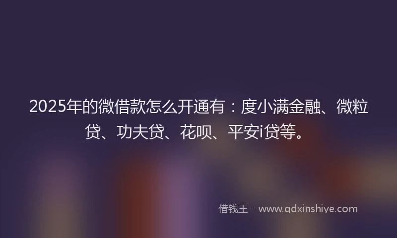 2025年的微借款怎么开通有：度小满金融、微粒贷、功夫贷、花呗、平安i贷等。