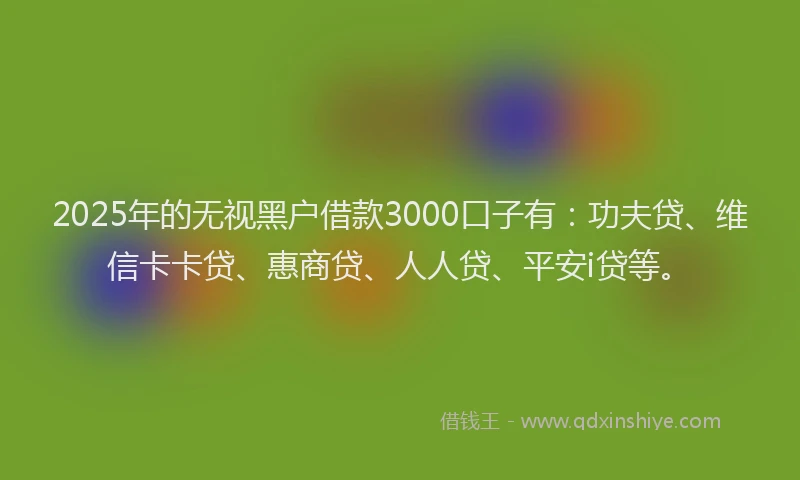 2025年的无视黑户借款3000口子有：功夫贷、维信卡卡贷、惠商贷、人人贷、平安i贷等。