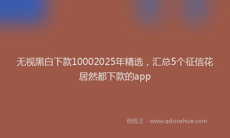无视黑白下款10002025年精选，汇总5个征信花居然都下款的app