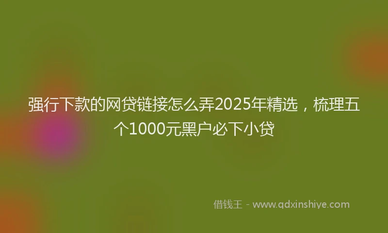 强行下款的网贷链接怎么弄2025年精选，梳理五个1000元黑户必下小贷