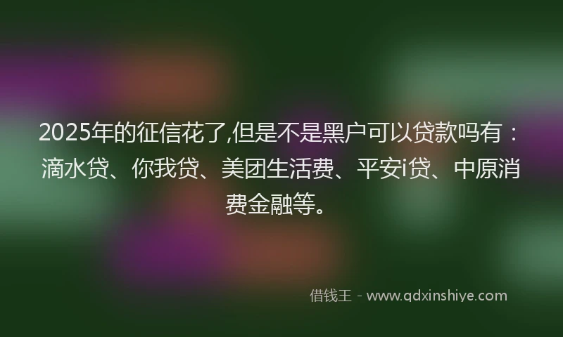 2025年的征信花了,但是不是黑户可以贷款吗有：滴水贷、你我贷、美团生活费、平安i贷、中原消费金融等。