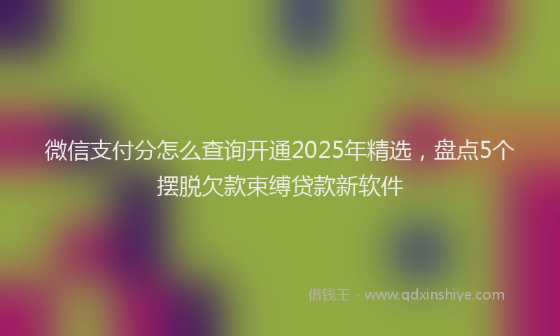 微信支付分怎么查询开通2025年精选，盘点5个摆脱欠款束缚贷款新软件