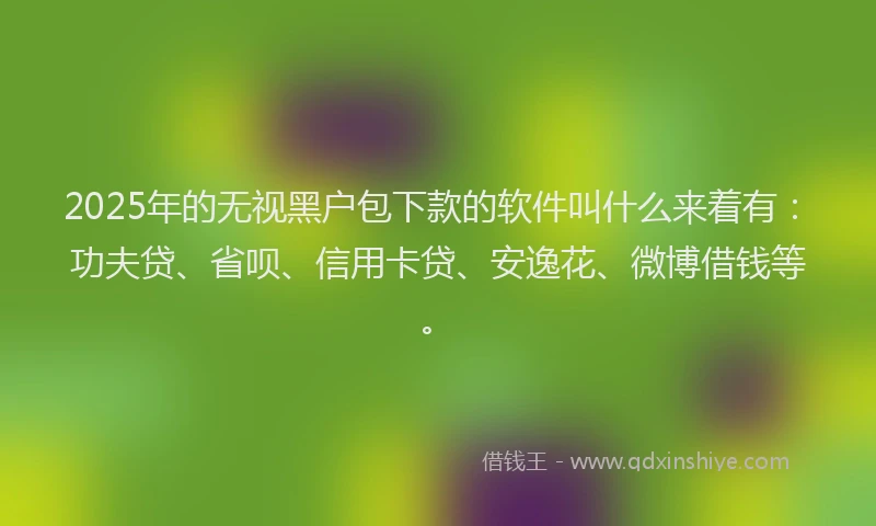 2025年的无视黑户包下款的软件叫什么来着有：功夫贷、省呗、信用卡贷、安逸花、微博借钱等。