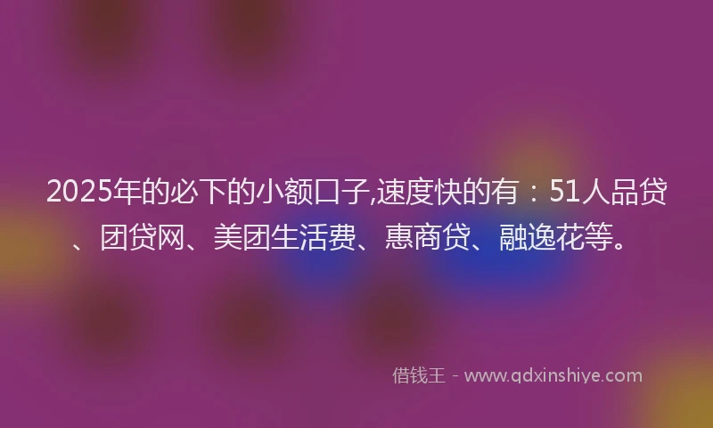 2025年的必下的小额口子,速度快的有：51人品贷、团贷网、美团生活费、惠商贷、融逸花等。