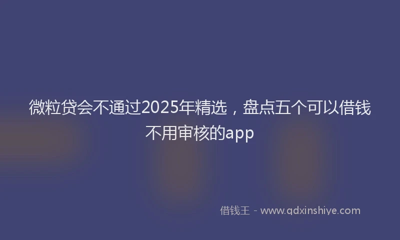 微粒贷会不通过2025年精选，盘点五个可以借钱不用审核的app