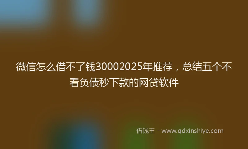 微信怎么借不了钱30002025年推荐，总结五个不看负债秒下款的网贷软件