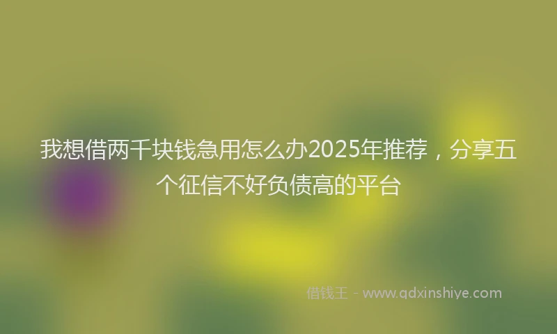 我想借两千块钱急用怎么办2025年推荐，分享五个征信不好负债高的平台