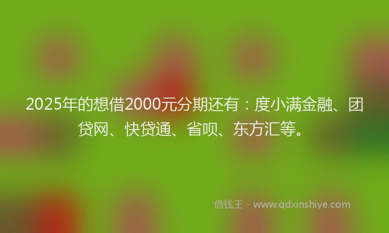 2025年的想借2000元分期还有：度小满金融、团贷网、快贷通、省呗、东方汇等。