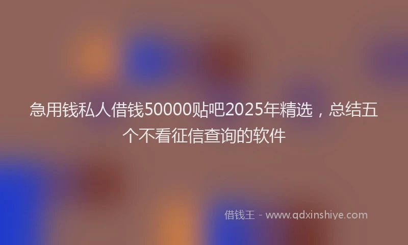 急用钱私人借钱50000贴吧2025年精选，总结五个不看征信查询的软件