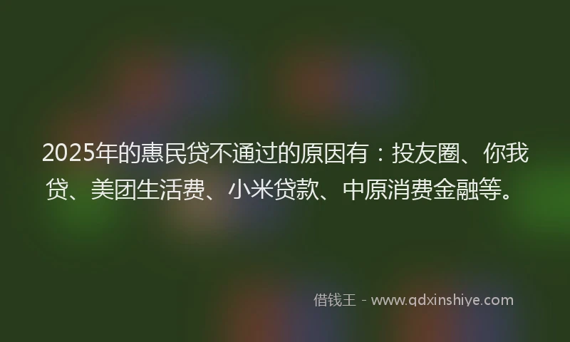 2025年的惠民贷不通过的原因有：投友圈、你我贷、美团生活费、小米贷款、中原消费金融等。
