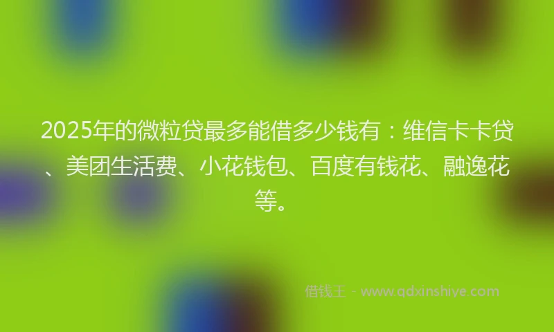 2025年的微粒贷最多能借多少钱有：维信卡卡贷、美团生活费、小花钱包、百度有钱花、融逸花等。