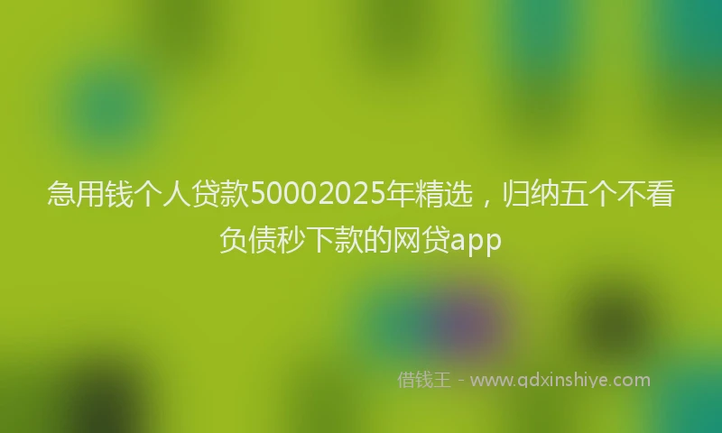 急用钱个人贷款50002025年精选，归纳五个不看负债秒下款的网贷app