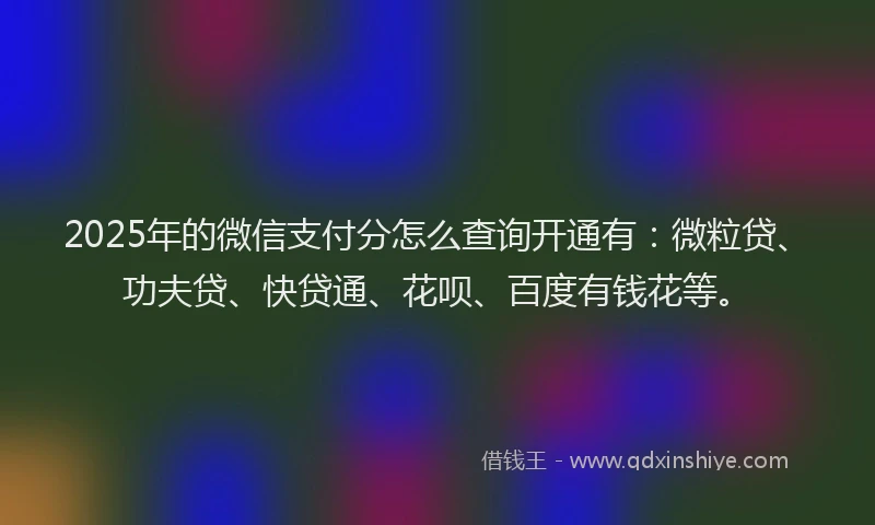 2025年的微信支付分怎么查询开通有：微粒贷、功夫贷、快贷通、花呗、百度有钱花等。