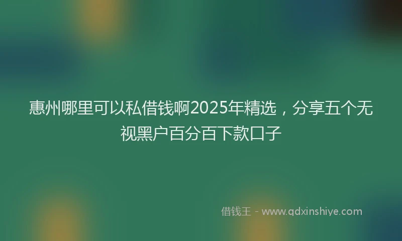 惠州哪里可以私借钱啊2025年精选，分享五个无视黑户百分百下款口子
