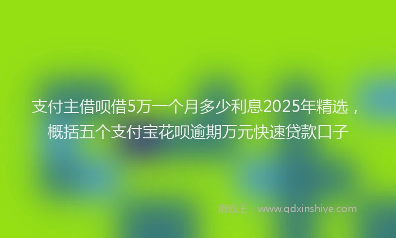 支付主借呗借5万一个月多少利息2025年精选，概括五个支付宝花呗逾期万元快速贷款口子
