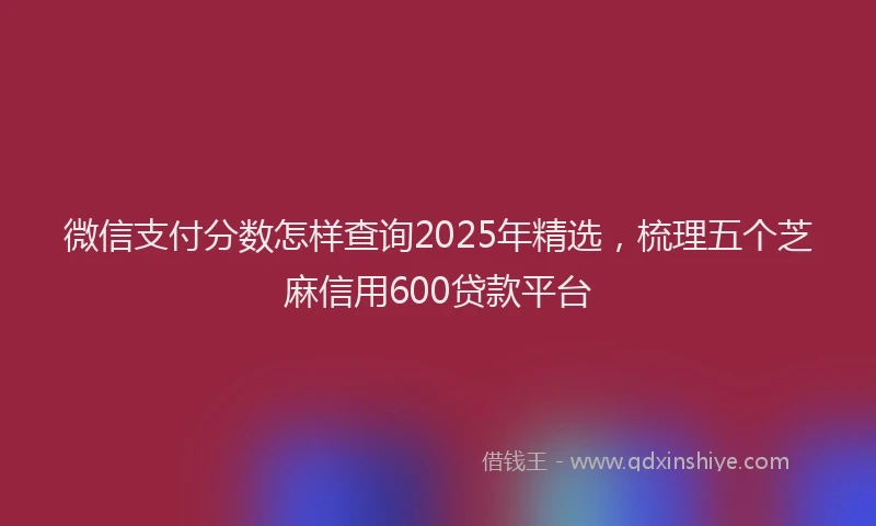 微信支付分数怎样查询2025年精选，梳理五个芝麻信用600贷款平台