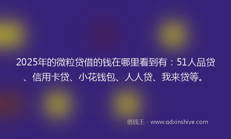 2025年的微粒贷借的钱在哪里看到有：51人品贷、信用卡贷、小花钱包、人人贷、我来贷等。