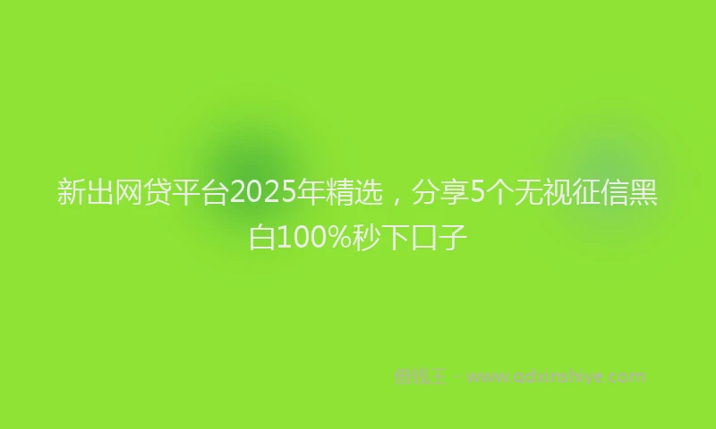 新出网贷平台2025年精选，分享5个无视征信黑白100%秒下口子