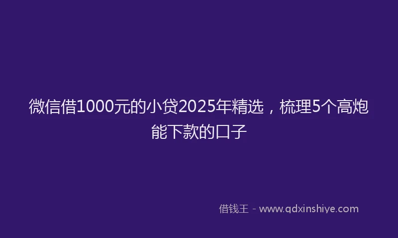 微信借1000元的小贷2025年精选，梳理5个高炮能下款的口子
