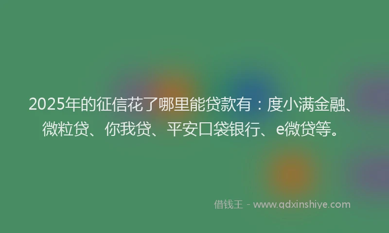 2025年的征信花了哪里能贷款有：度小满金融、微粒贷、你我贷、平安口袋银行、e微贷等。