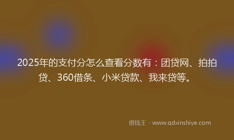 2025年的支付分怎么查看分数有：团贷网、拍拍贷、360借条、小米贷款、我来贷等。
