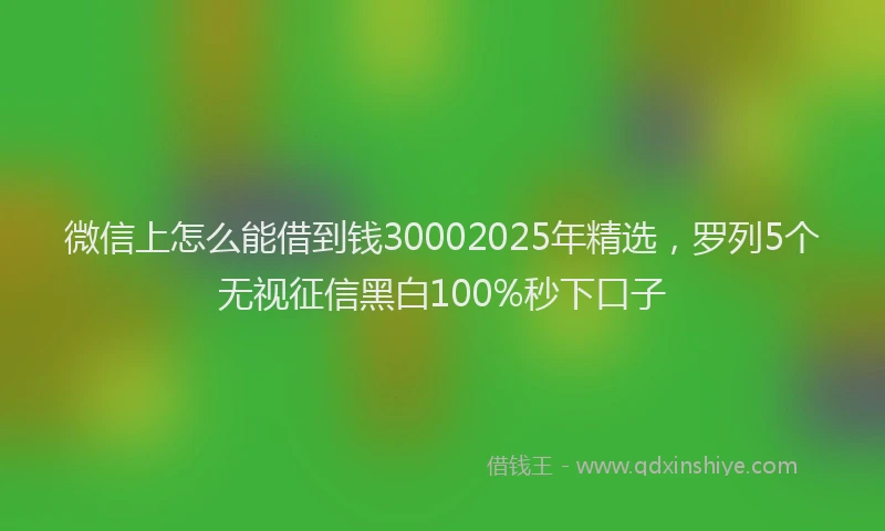 微信上怎么能借到钱30002025年精选，罗列5个无视征信黑白100%秒下口子