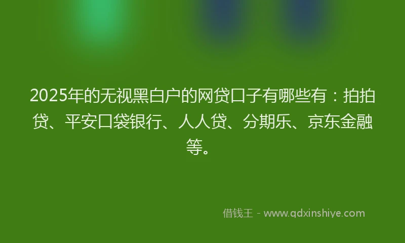 2025年的无视黑白户的网贷口子有哪些有：拍拍贷、平安口袋银行、人人贷、分期乐、京东金融等。