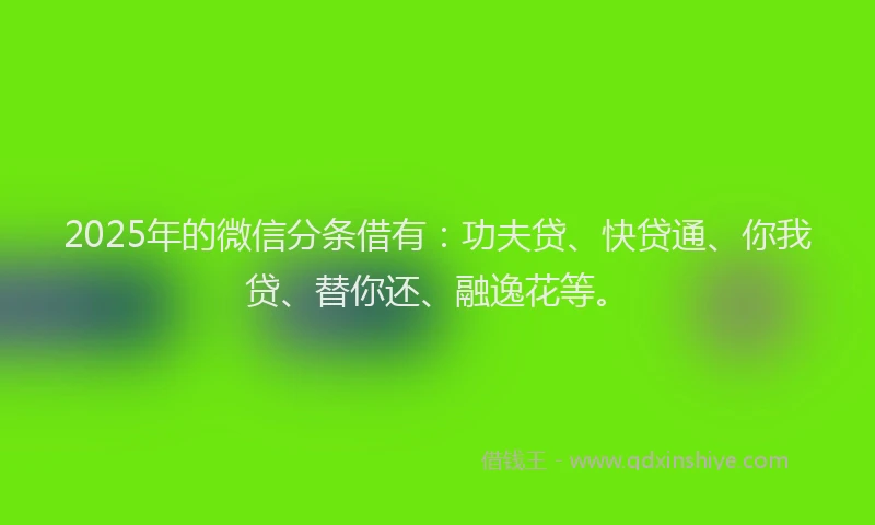 2025年的微信分条借有：功夫贷、快贷通、你我贷、替你还、融逸花等。
